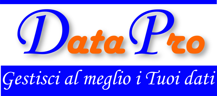 Data Pro 1.0: Database Application personalizzata