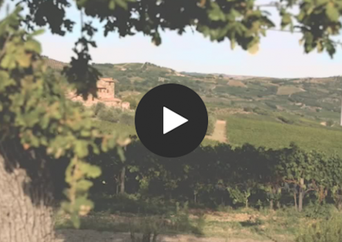 Ciacci Piccolomini d’Aragona winery creates a perfect blend of tradition and technology with Microsoft Teams