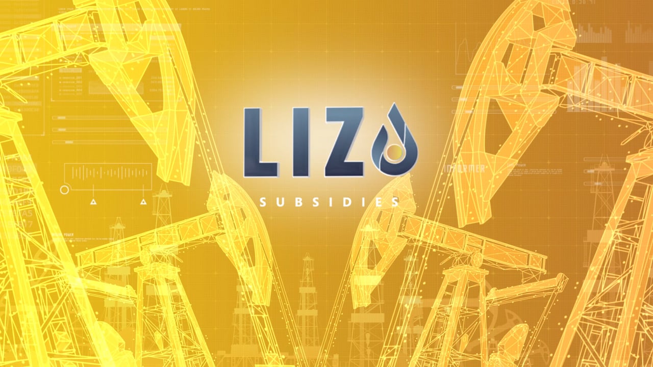 Lizo | Digital transformation in the oil & gas industry: seamless scaling and automatic updating