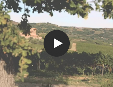 Ciacci Piccolomini d’Aragona winery creates a perfect blend of tradition and technology with Microsoft Teams
